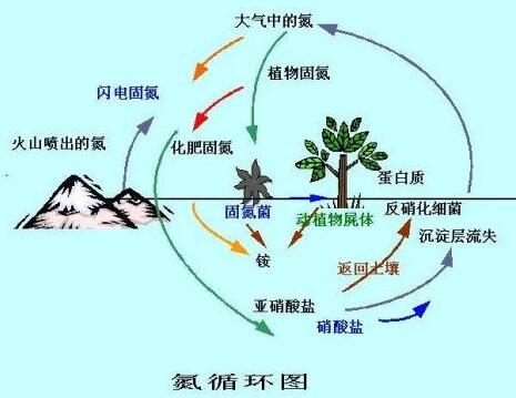 氮气循环图.jpg