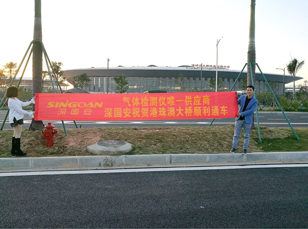 港珠澳大桥气体检测项目.png
