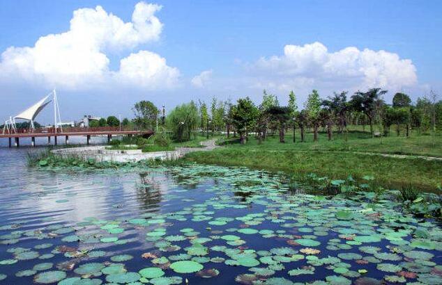 大气环境.jpg