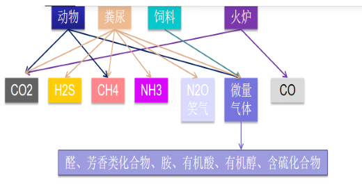 有害气体.png