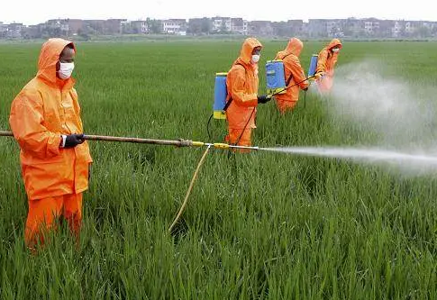 农药厂高精度手提式气味检测仪-气味浓度分析仪-深国安官网