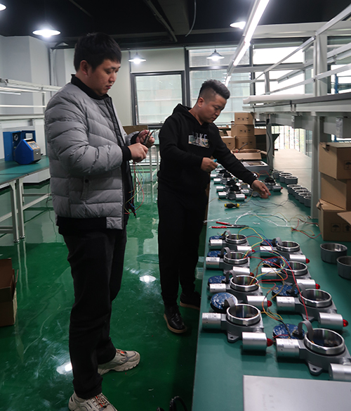 在线式臭氧检测仪