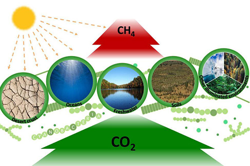 甲烷排放控制行动方案