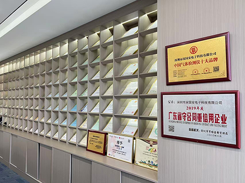 气体检测仪十大品牌